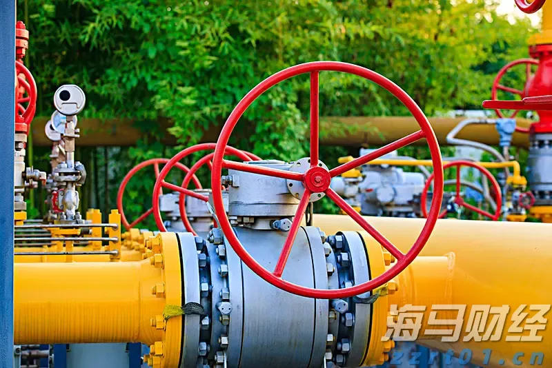 贵港市电子商务专班工作会议召开