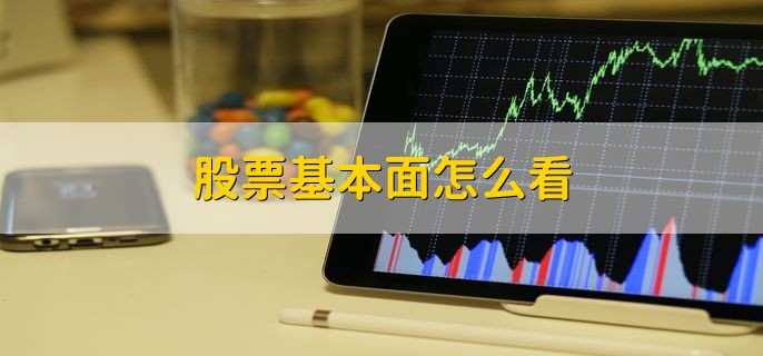 多名前职业运动员现身！十五运会这场气排球比赛不简单