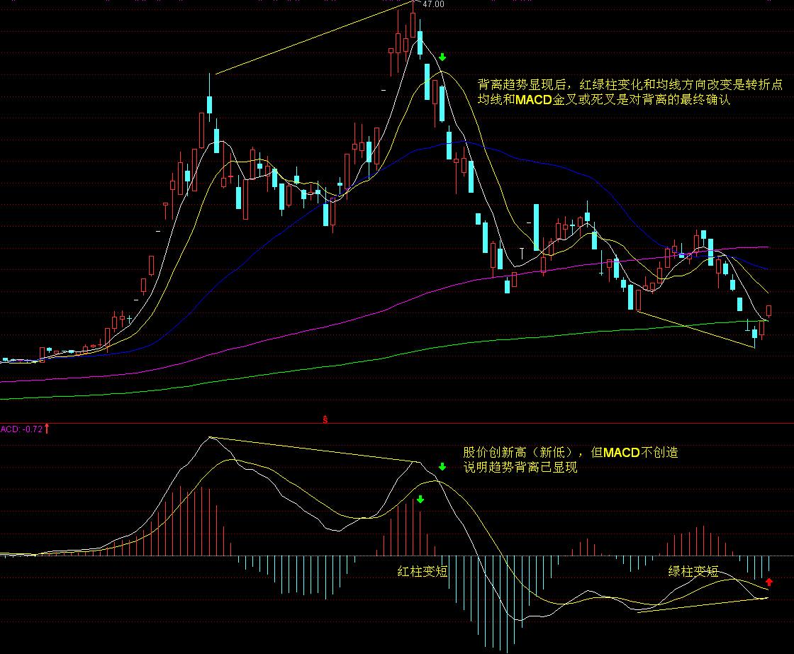 欧洲市值最高的科技公司SAP(SAP.US)财报不如预期：云收入增长放缓，美元贬值是主要因素