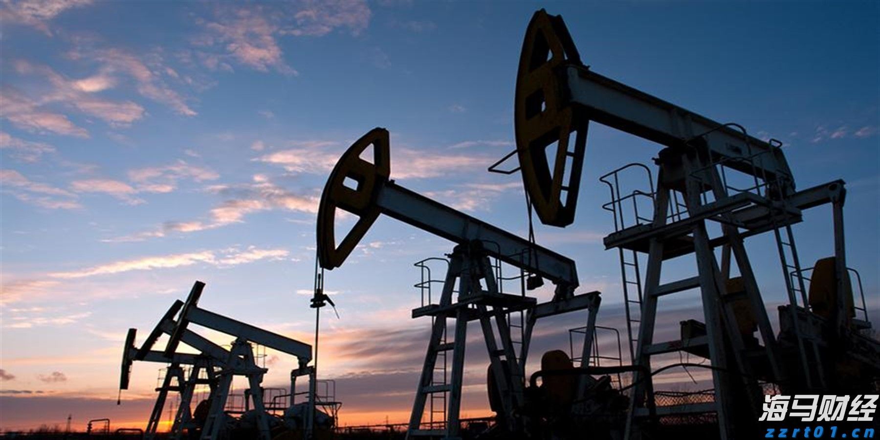 通讯丨花椰菜种子见证中巴农业合作