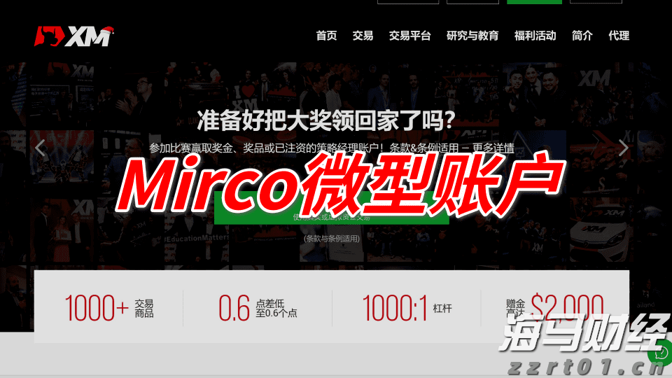2024年度全国三八红旗手谢冰梅：“回游青年”反哺桑梓 挑起乡村振兴担子